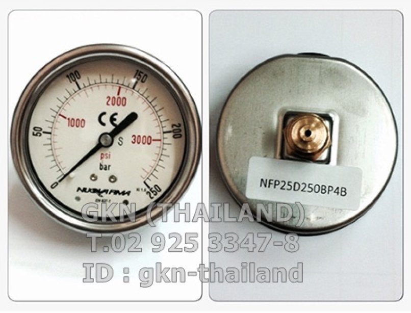Pressure Gauge Nuova Fima